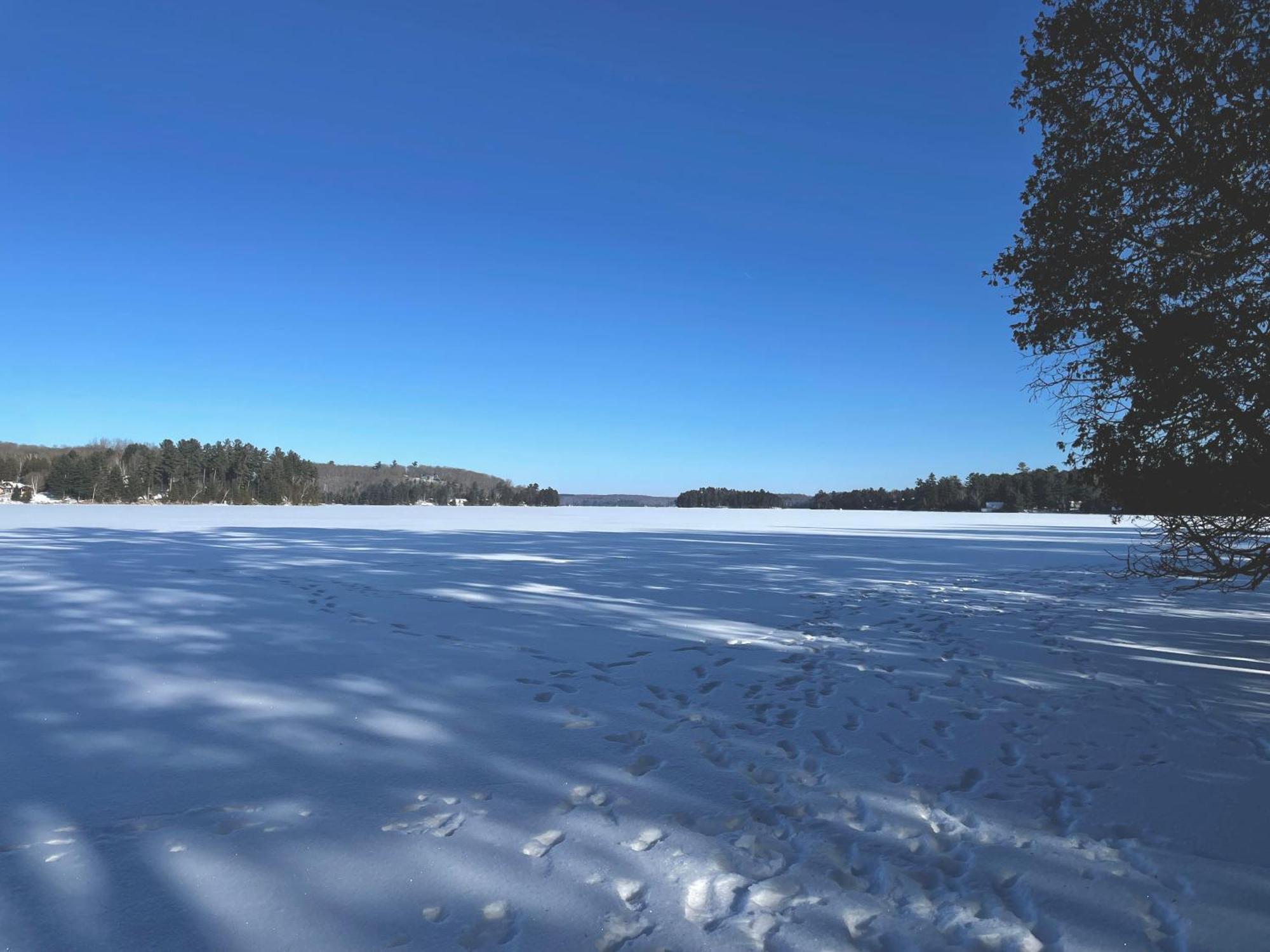 Отель Haliburton Post House Minden Экстерьер фото