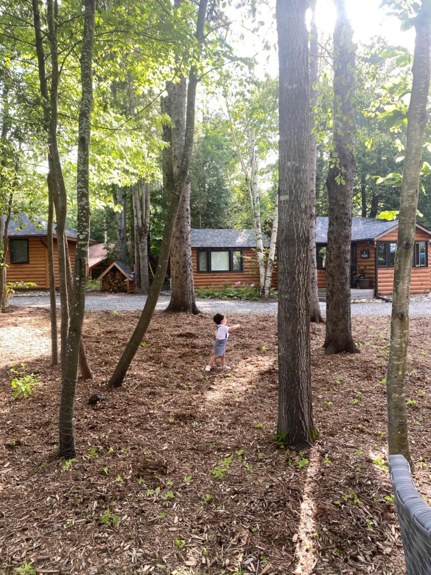 Отель Haliburton Post House Minden Экстерьер фото